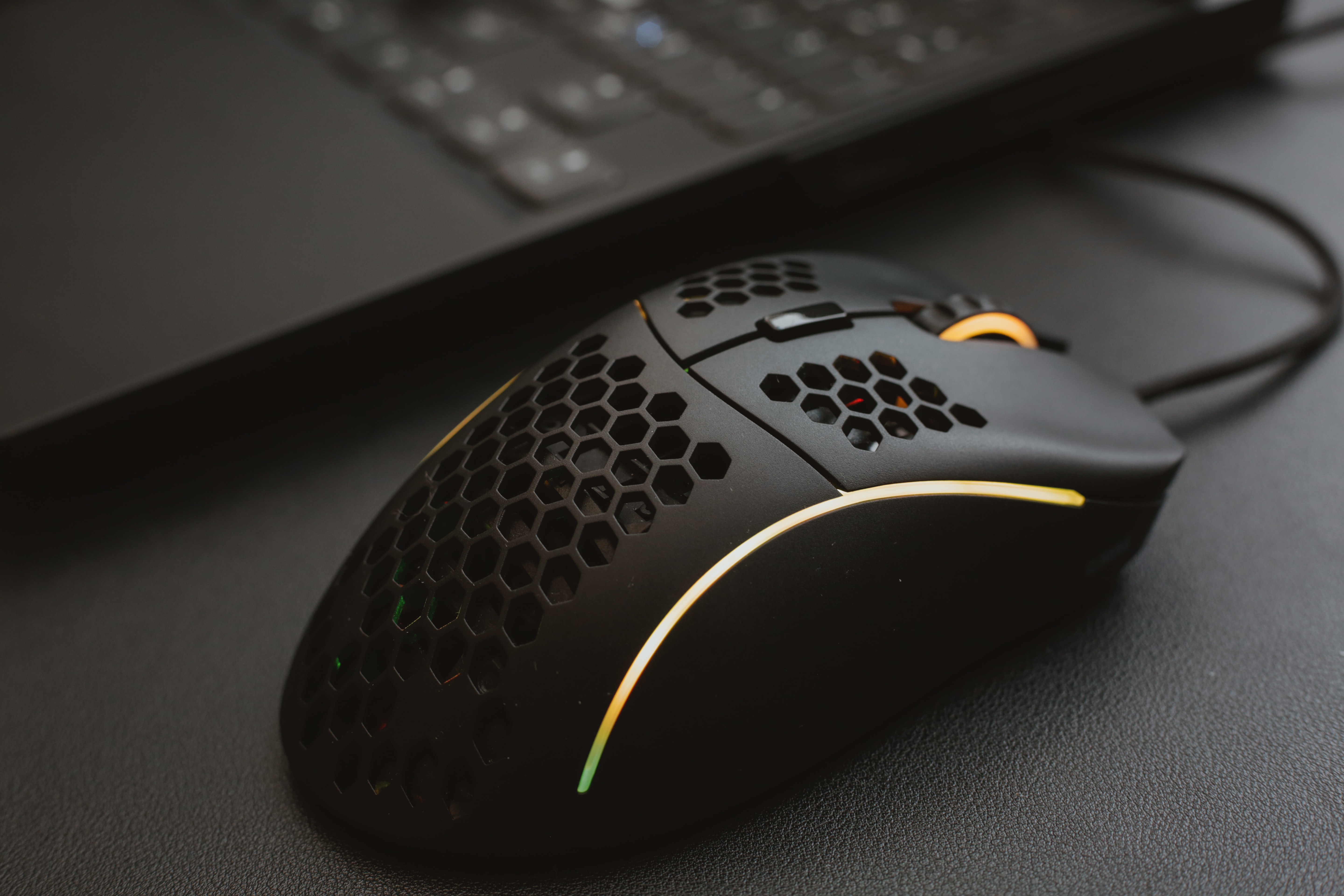 mouse